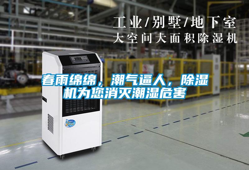 春雨綿綿，潮氣逼人，除濕機為您消滅潮濕危害