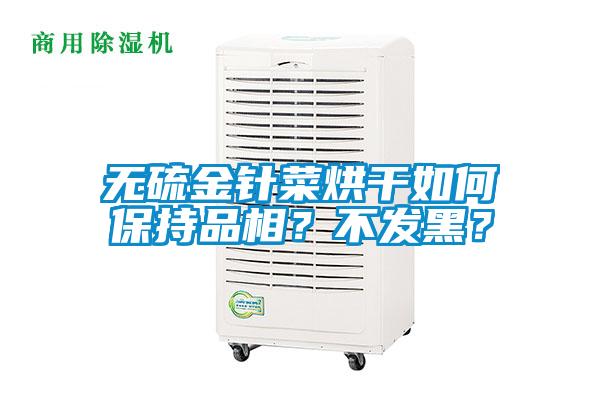 無硫金針菜烘干如何保持品相？不發黑？