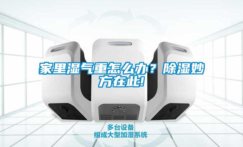 家里濕氣重怎么辦？除濕妙方在此!