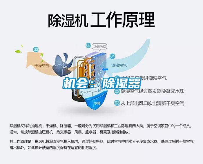 機(jī)會:除濕器