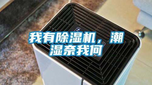 我有除濕機,潮濕奈我何