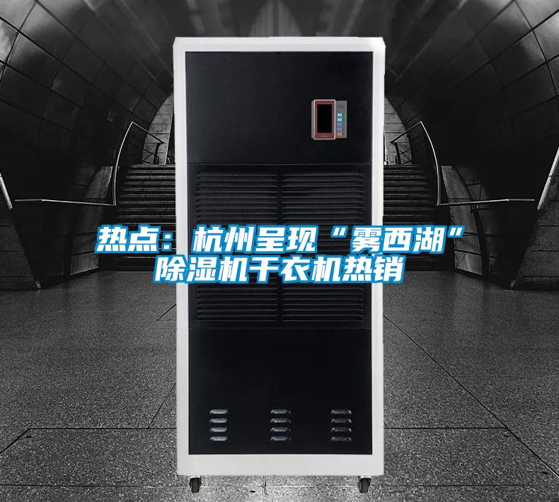 熱點(diǎn):杭州呈現(xiàn)“霧西湖”除濕機(jī)干衣機(jī)熱銷(xiāo)