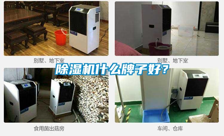 除濕機(jī)什么牌子好？