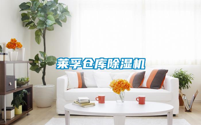 萊孚倉(cāng)庫(kù)除濕機(jī)