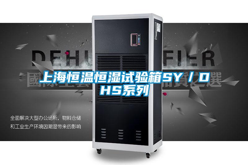 上海恒溫恒濕試驗箱SY/DHS系列