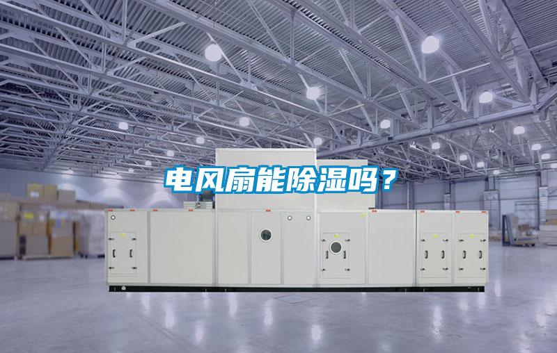 電風扇能除濕嗎？