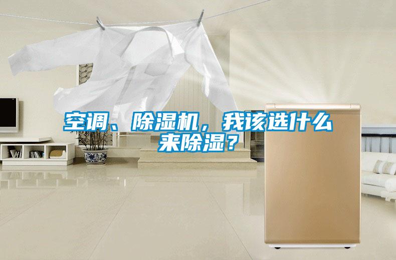 空調(diào)、除濕機(jī)，我該選什么來(lái)除濕？