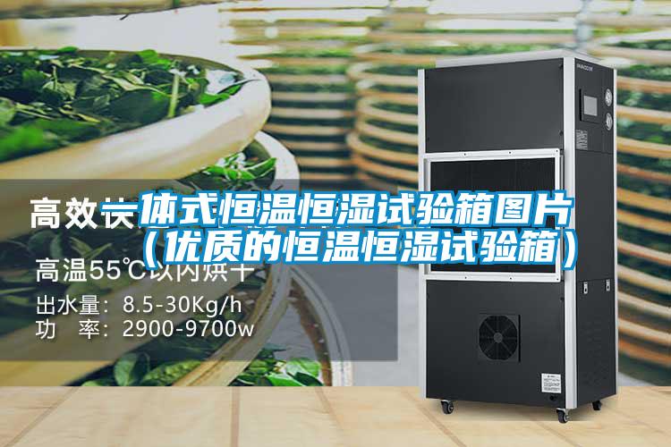 一體式恒溫恒濕試驗箱圖片(優(yōu)質的恒溫恒濕試驗箱)