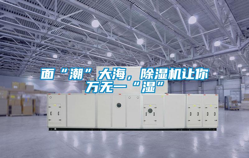 面“潮”大海,除濕機(jī)讓你萬(wàn)無(wú)一“濕”