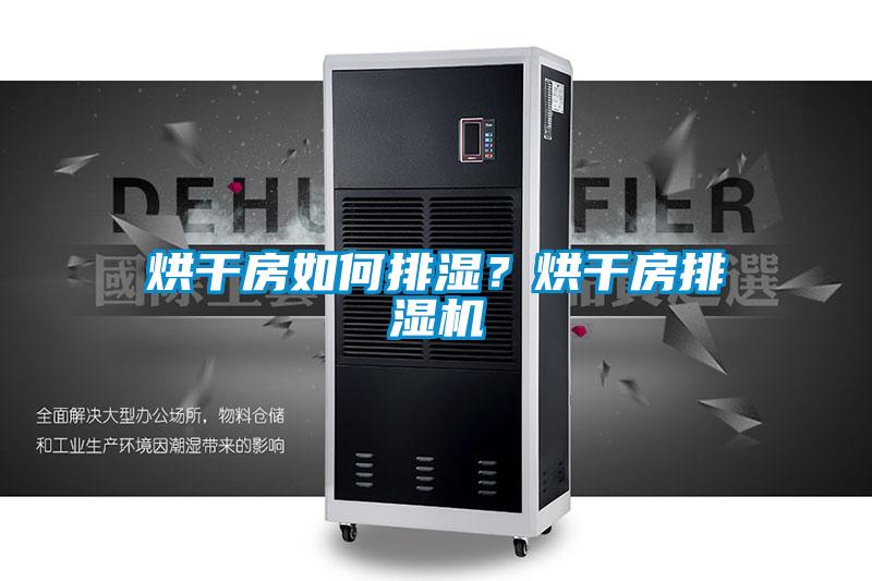 烘干房如何排濕？烘干房排濕機