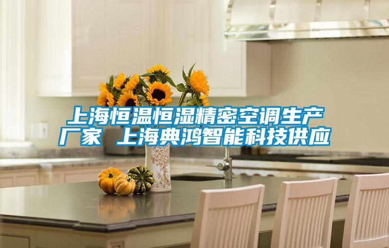 上海恒溫恒濕精密空調生產(chǎn)廠家 上海典鴻智能科技供應