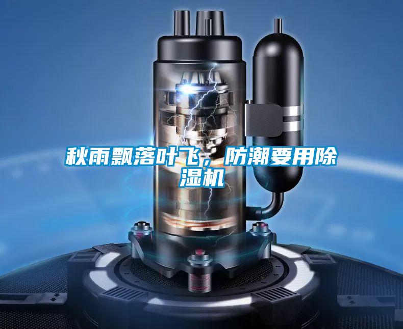 秋雨飄落葉飛，防潮要用除濕機