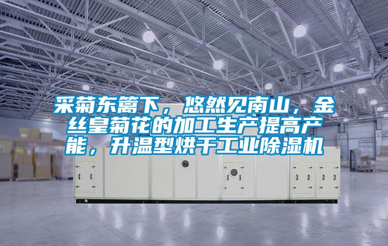 采菊東籬下，悠然見南山，金絲皇菊花的加工生產提高產能，升溫型烘干工業除濕機