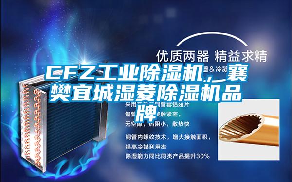 CFZ工業(yè)除濕機,襄樊宜城濕菱除濕機品牌