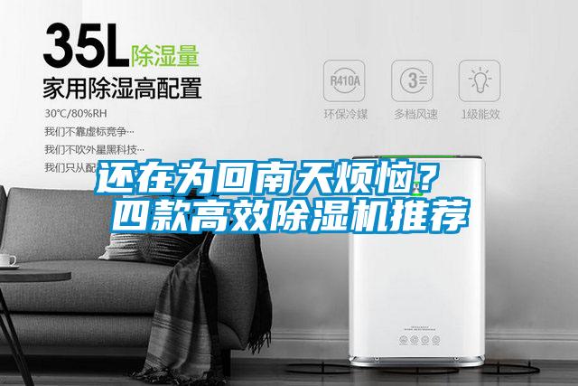 還在為回南天煩惱? 四款高效除濕機推薦