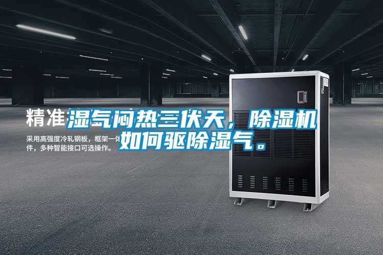 濕氣悶熱三伏天,除濕機如何驅(qū)除濕氣。