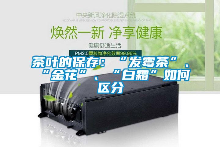 茶葉的保存：“發霉茶”、“金花”、“白霜”如何區分