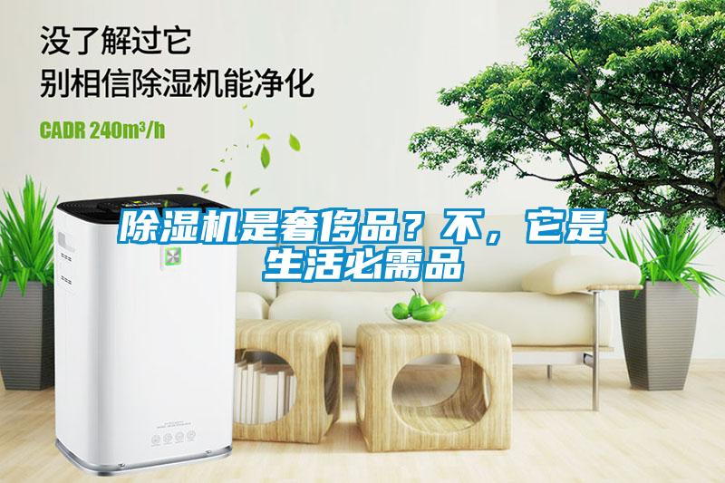 除濕機是奢侈品?不,它是生活必需品