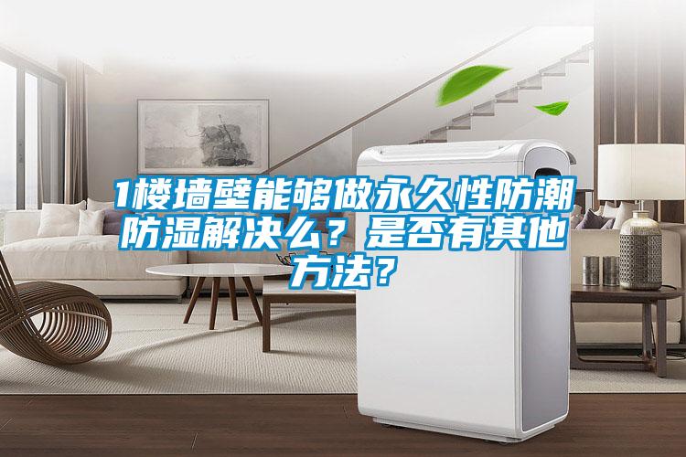 1樓墻壁能夠做永久性防潮防濕解決么？是否有其他方法？