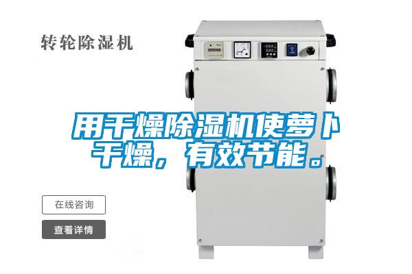 用干燥除濕機使蘿卜干燥，有效節能。