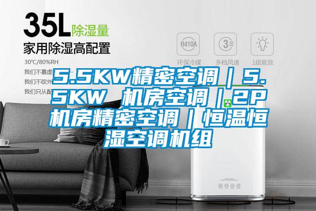 5.5KW精密空調(diào)|5.5KW 機房空調(diào)|2P機房精密空調(diào)|恒溫恒濕空調(diào)機組