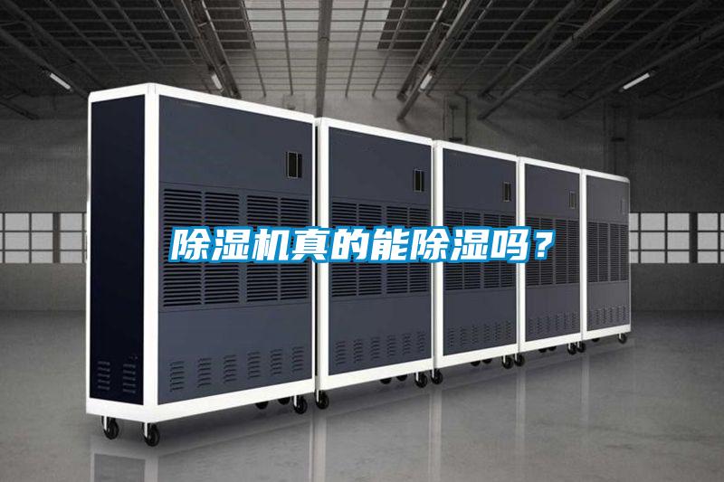 除濕機真的能除濕嗎？