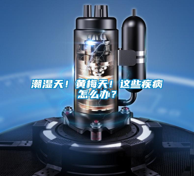 潮濕天！黃梅天！這些疾病怎么辦？