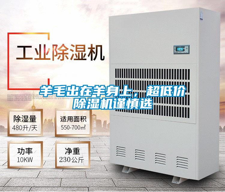 羊毛出在羊身上，超低價除濕機謹慎選