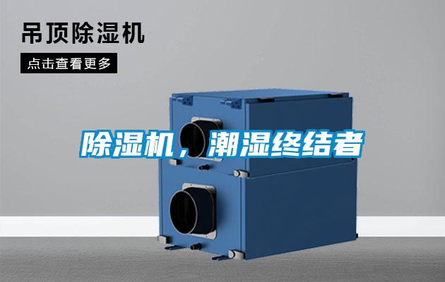 除濕機(jī),潮濕終結(jié)者