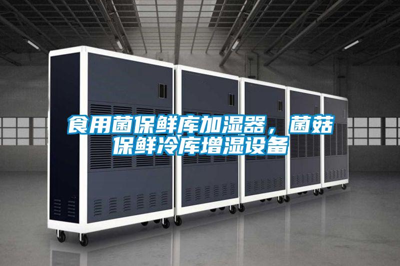 食用菌保鮮庫加濕器，菌菇保鮮冷庫增濕設(shè)備