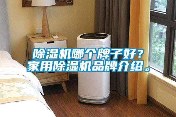 除濕機哪個牌子好?家用除濕機品牌介紹。