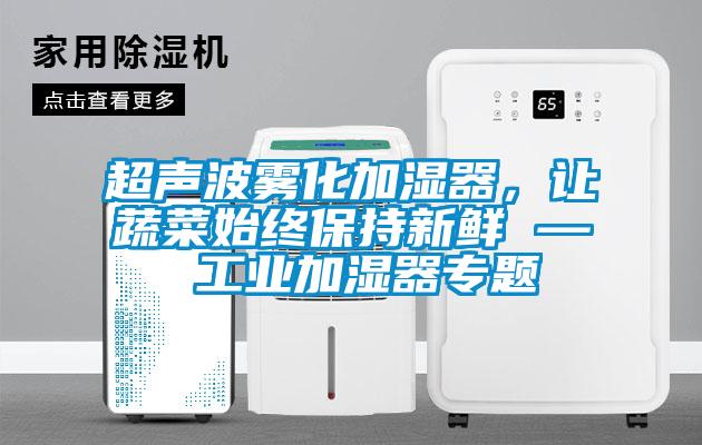 超聲波霧化加濕器,讓蔬菜始終保持新鮮 — 工業加濕器專題