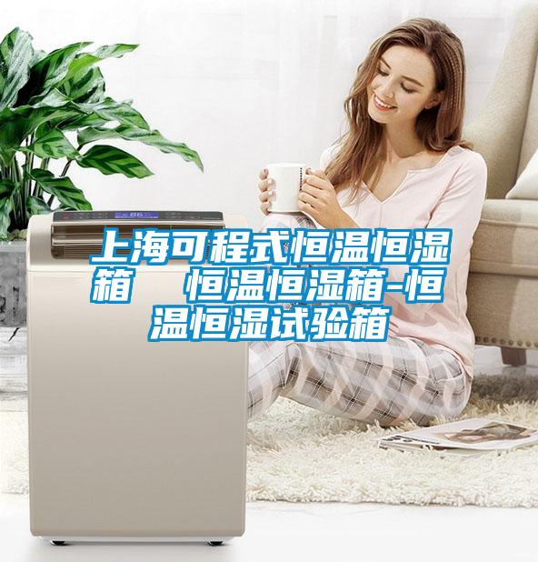 上海可程式恒溫恒濕箱 恒溫恒濕箱-恒溫恒濕試驗箱