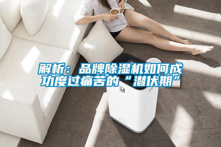 解析:品牌除濕機(jī)如何成功度過(guò)痛苦的“潛伏期”