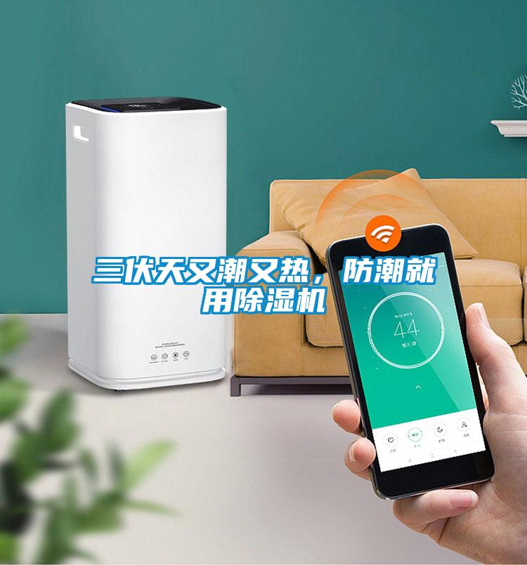 三伏天又潮又熱,防潮就用除濕機