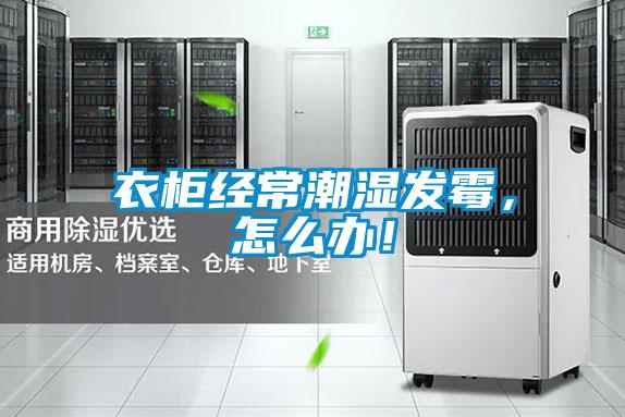 衣柜經(jīng)常潮濕發(fā)霉,怎么辦!