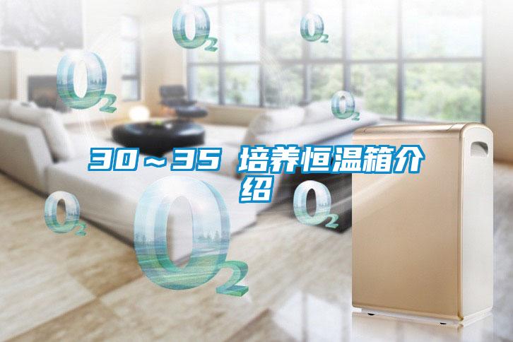 30~35℃培養(yǎng)恒溫箱介紹