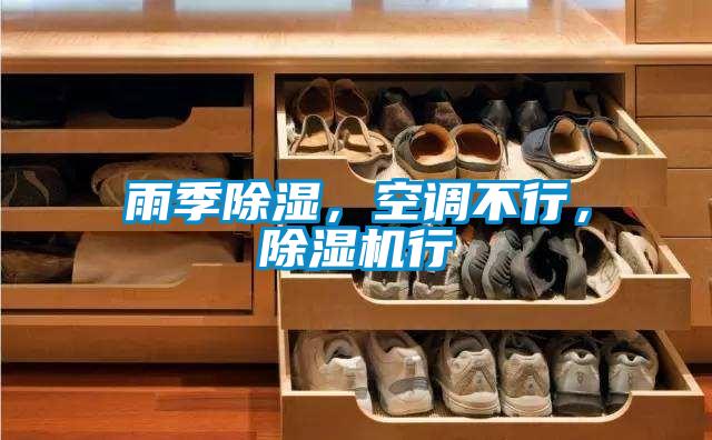 雨季除濕，空調(diào)不行，除濕機(jī)行