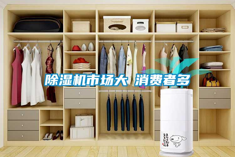 除濕機市場大≠消費者多