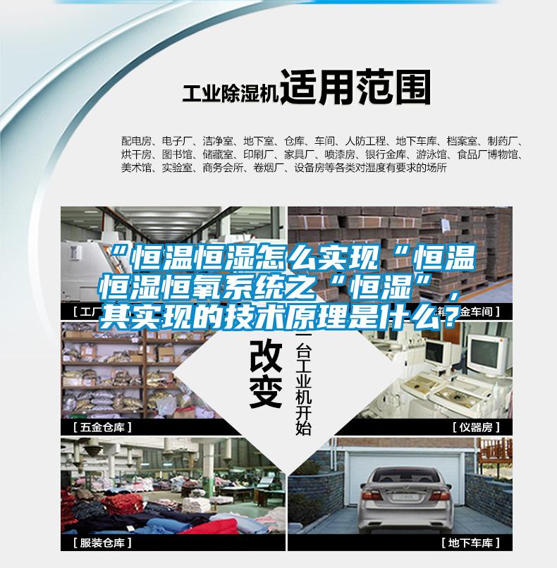 “恒溫恒濕怎么實現(xiàn)“恒溫恒濕恒氧系統(tǒng)之“恒濕”,其實現(xiàn)的技術(shù)原理是什么?