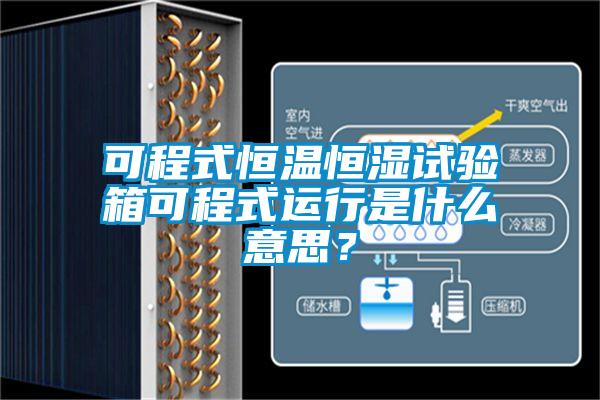 可程式恒溫恒濕試驗箱可程式運(yùn)行是什么意思？