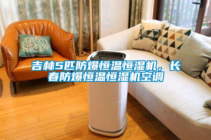 吉林5匹防爆恒溫恒濕機,長春防爆恒溫恒濕機空調