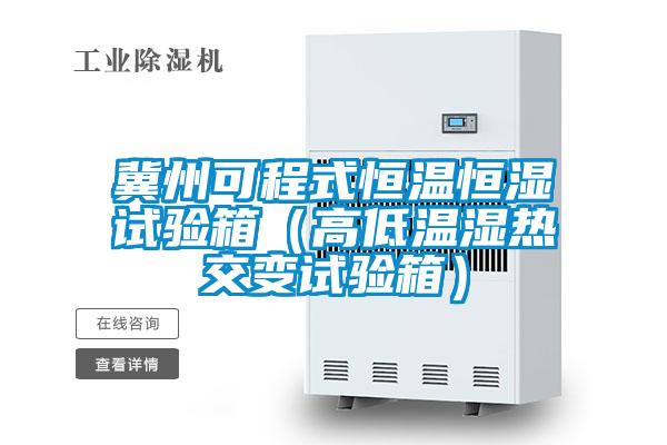 冀州可程式恒溫恒濕試驗(yàn)箱(高低溫濕熱交變?cè)囼?yàn)箱)