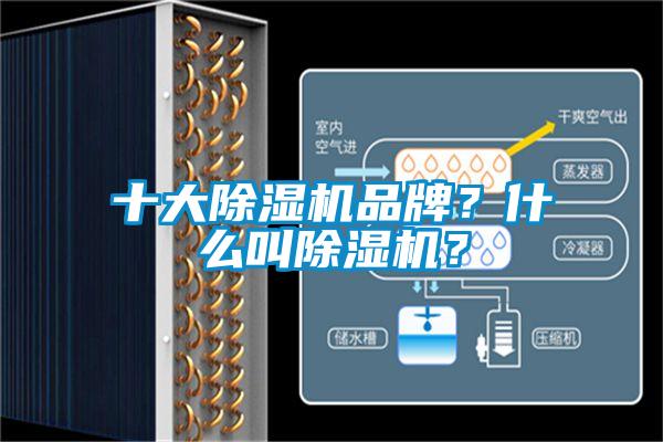 十大除濕機品牌？什么叫除濕機？