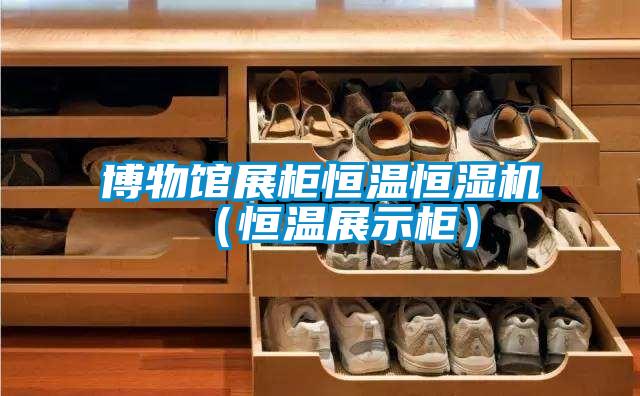 博物館展柜恒溫恒濕機(jī)（恒溫展示柜）
