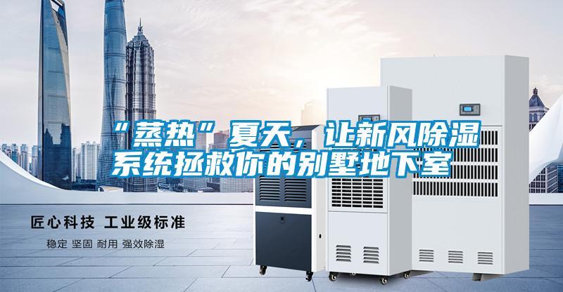 “蒸熱”夏天，讓新風(fēng)除濕系統(tǒng)拯救你的別墅地下室