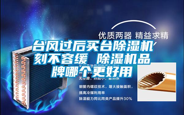 臺風(fēng)過后買臺除濕機(jī)刻不容緩 除濕機(jī)品牌哪個(gè)更好用