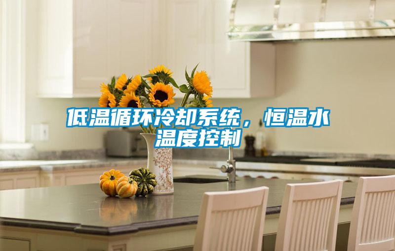 低溫循環冷卻系統,恒溫水溫度控制