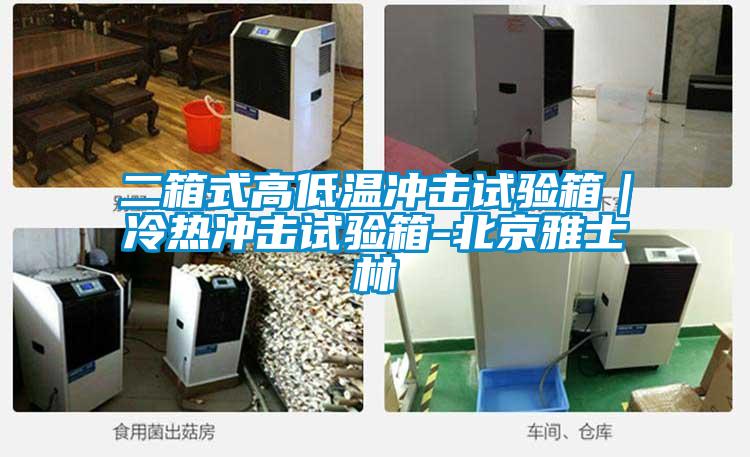 二箱式高低溫沖擊試驗箱|冷熱沖擊試驗箱-北京雅士林