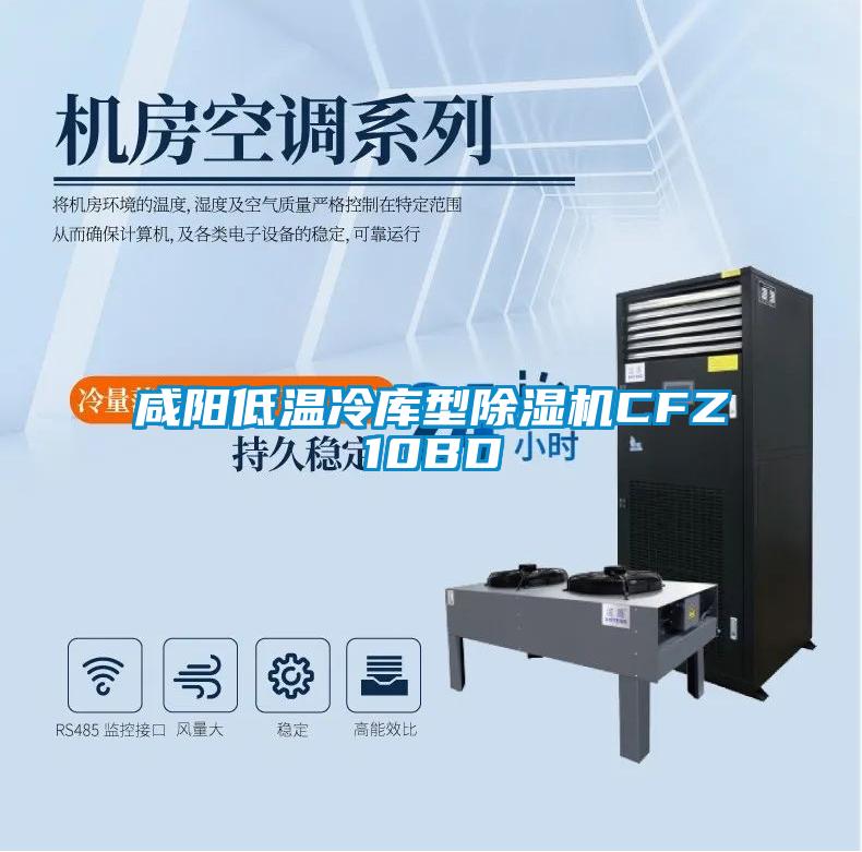 咸陽(yáng)低溫冷庫(kù)型除濕機(jī)CFZ10BD